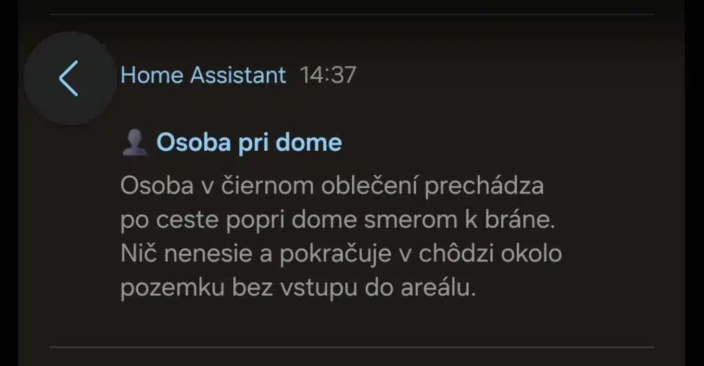 AI notifikácia z Home Assistanta s analýzou osoby pomocou Google Gemini